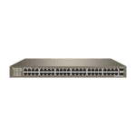 Switch 48 porturi Gigabit 2xSFP L2 Cloud Management